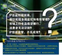 数字化授权管理IP管控体系，进行全链路管理