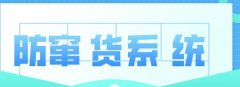 构建高效，防窜货系统数据管理的策略与实践