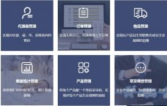 市场稳定的守护者，防窜货与价格管理在维护经销商利益中的重要性