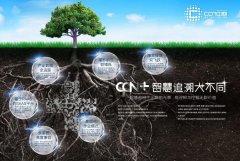 花生种子溯源，品质之根，责任之源