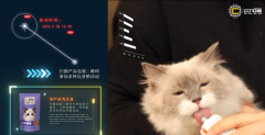 一物一码透明追溯体系，守护爱宠健康每一步